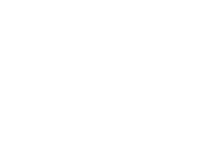 Chiefilmz